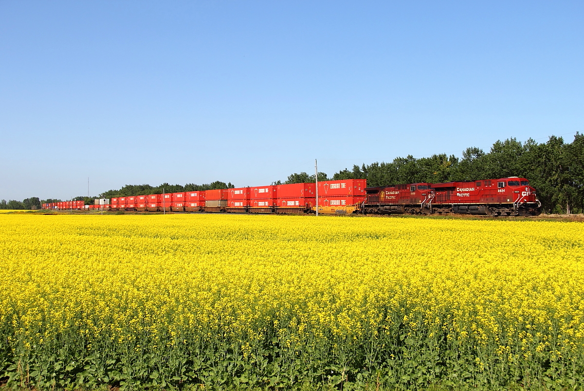 Hotshot CP 110 heads out of Portage bound for Winnipeg and points east.