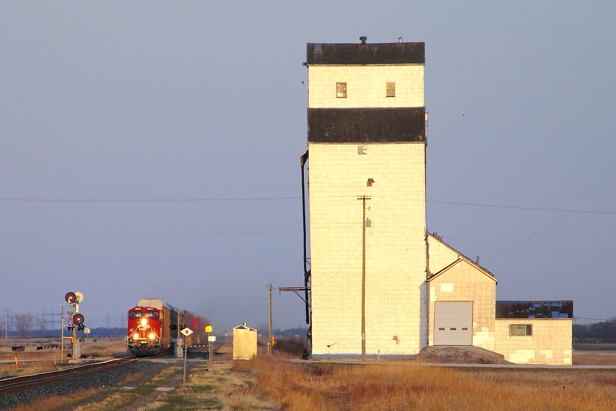 CP's hotest westbound 111 passes the prairie skyscraper at Meadows.