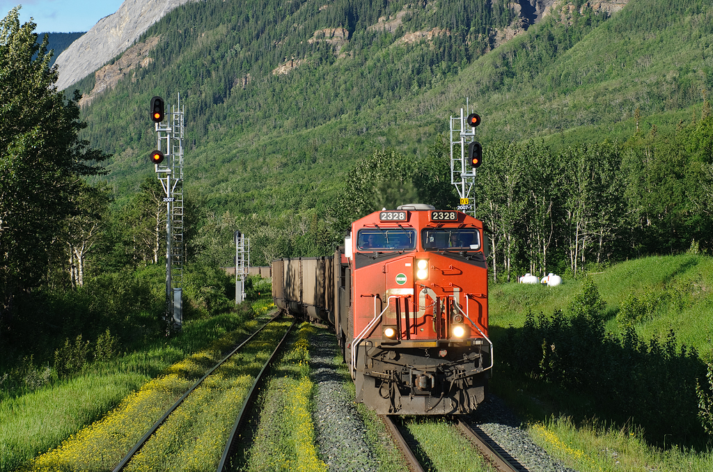 C778 diverges into the siding at the west end of Swan Landing and will soon veer off onto CN's Grande Cache Sub for another load of coal from the mine 110 miles north, at Winniandy.