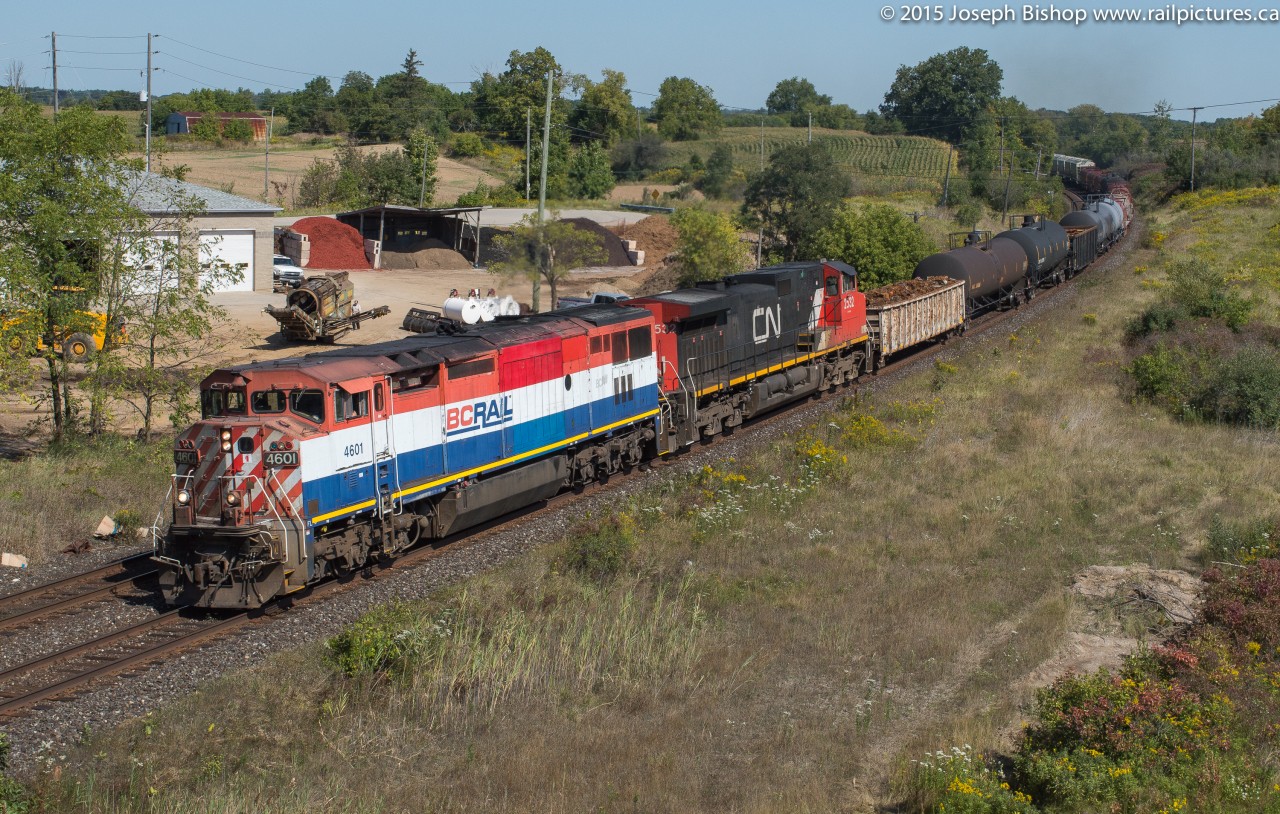 CN 331 cruises by Garden Ave in Brantford with the class leader of the BCOL's on the point.  4601 was looking pretty snazzy with a fresh wash and some nice autumn sun.