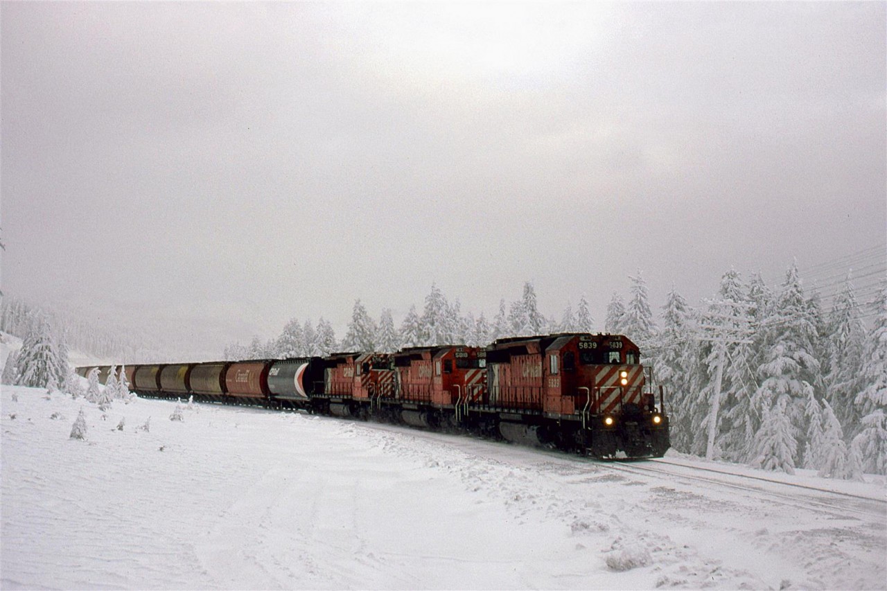 This loaded grain train straddles the continental divide at Stephen in the Kicking Horse 
Pass. As usual, the older narrow strip locomotives rarely lead. Broken clouds and periodic heavy snow make for interesting foregrounds and ever-changing backdrops.