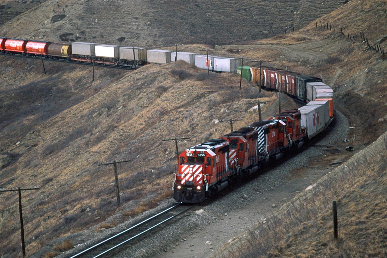 About 50 minutes after the eastbound "Canadian" passed, the usual freight that accompanies the passenger train showed up. It was a relatively hot train, but CP was apt to fill it out with anything headed east as can be seen by the grain cars in this photo.