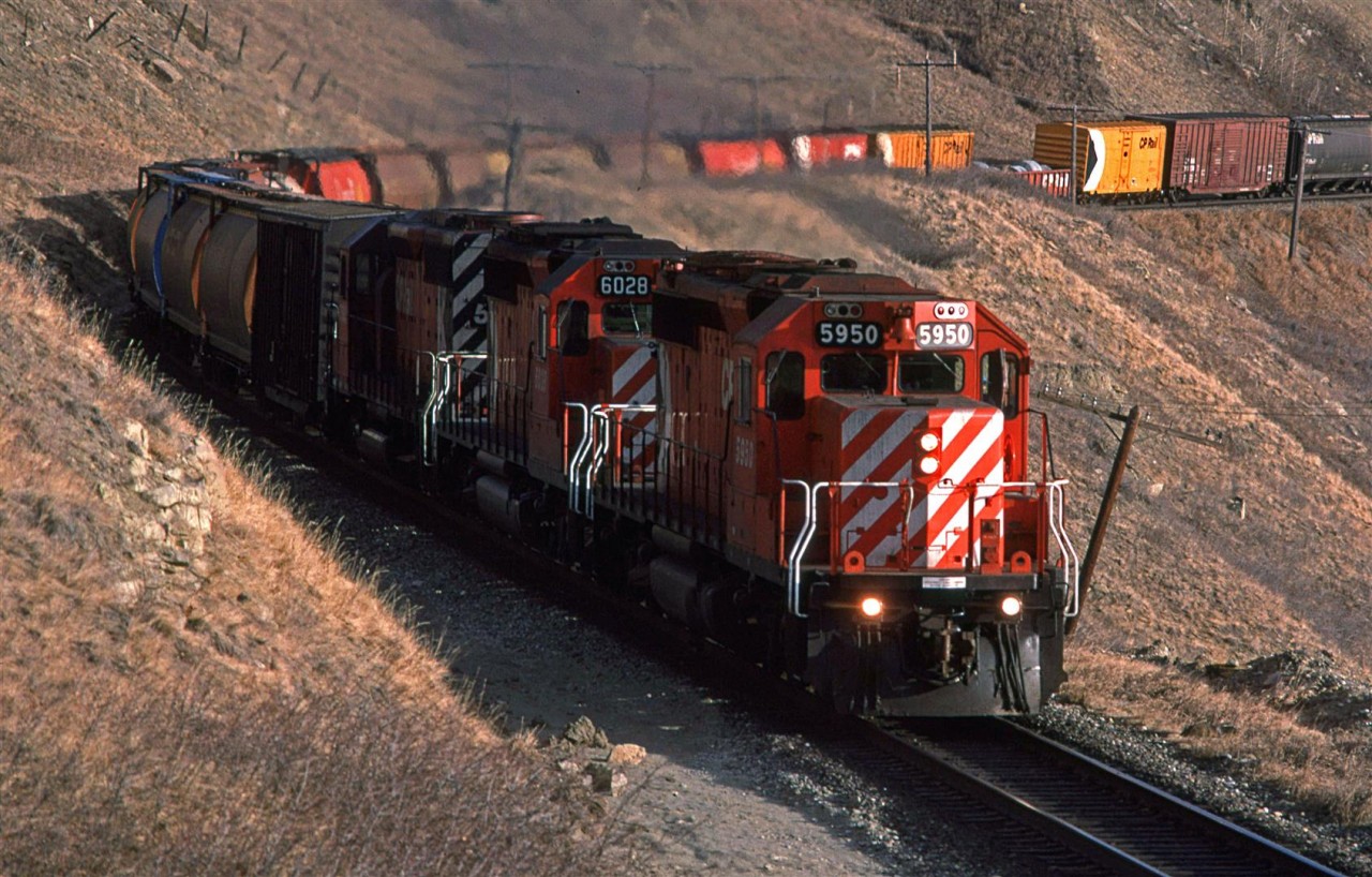 A slightly different perspective of the same train as photographed by my wife. It is westbound, and about to enter Cochrane.