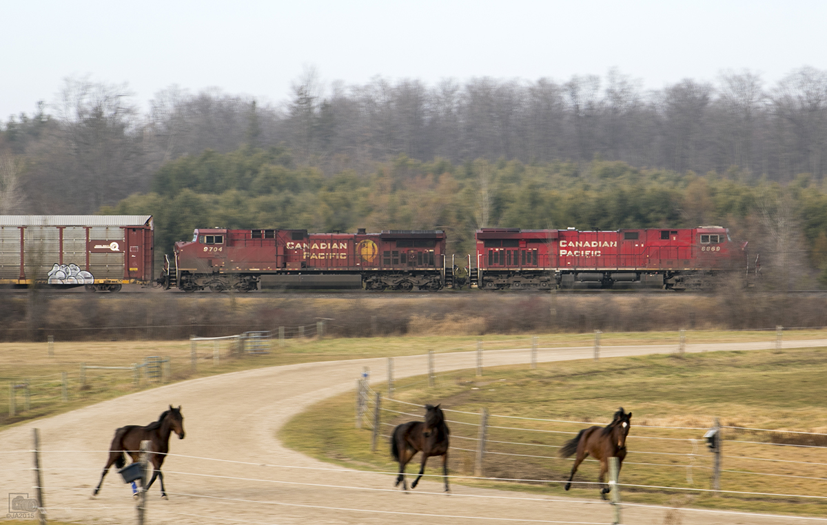 CP 240 rumbling across the country side honking it's horn for the crossing up a head, 8869 horn spooked the horses and they make a run for it.