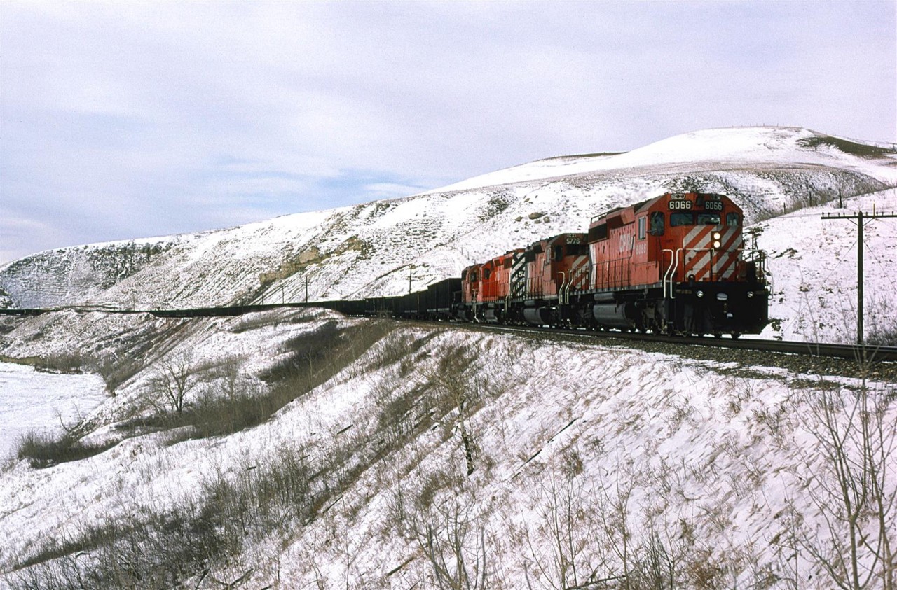 A day that was mostly clear and sunny became this overcast meas by 245Pm, when this picture was taken. At the time, I did not understand that photographing a scene with no sky usually is much more appealing in overcast conditions. 
An eastbound empty sulphur train runs through the twisted track of the Bow River Valley west of Calgary.