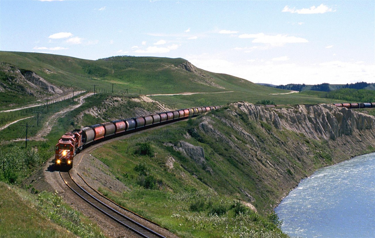 CTC Board's Day in the West II. This is Janice's photo. My (Steve Young) shot was light struck (and camera destroyed) when my camera and tripod were blown over.
This is a westbound grain train in the Bow River Valley east of Cochrane.