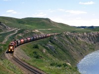 CTC Board's Day in the West II. This is Janice's photo. My (Steve Young) shot was light struck (and camera destroyed) when my camera and tripod were blown over.
This is a westbound grain train in the Bow River Valley east of Cochrane.