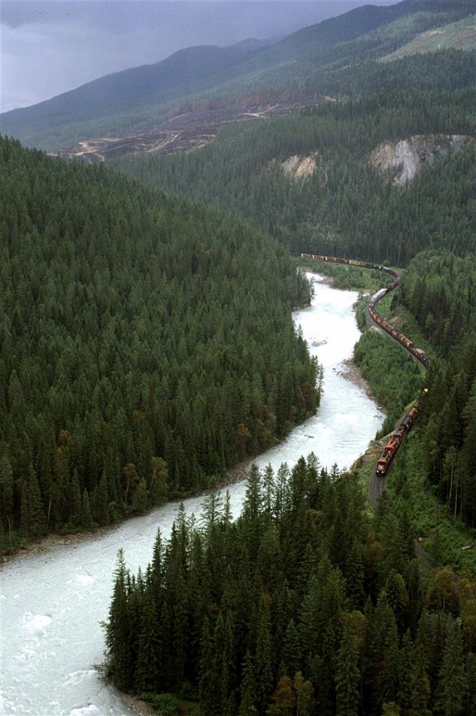 We biked through this area, which allowed easy exploration possibilities - it is rather difficult to stop and start on this busy stretch of road if one is in a car.
This is one of the vantage points that we caught a train at.
A westbound Manifest is a couple km's from Glenogle siding in the heart of Kicking Horse Canyon.
The log harvesting on the hill is an indication that we are no longer in Yoho National Park.