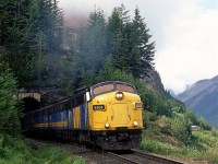 The head end of the eastbound "Canadian" roars out of the small tunnel near the west switch of Cathedral in Kicking Horse Pass. It is a long train this day. The rear car can be seen at right on the ledge that the train has been ascending on since leaving Field.