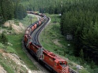 A westbound manifest approaches the west switch of Stephen and will immediately begin the descent into Field.