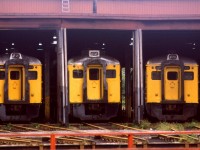 # RDC's sit in the roundhouse at Fairview Shops. Judging by the rust on the tracks, these must be the victims of service cuts.