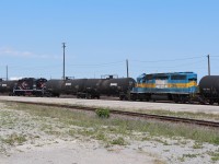 Here is the surprise of the day at Agincourt: Cando GP9 4014 and DME 6359 "Mount Rushmore" locomotives passing through on the same train.