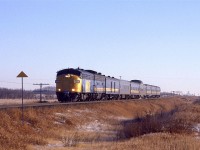 Another shot of an eastbound "Super Continental" east of Edmonton. 