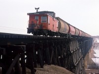 The rear end of an empty grain train crosses the North Saskatchewan River on the Vegreville Sub at Fort Saskatchewan. This bridge would soon be replaced by another further down stream (Geographically NE) of here. The new bridge would allow trains to bypass the town of Fort Saskatchewan. Apart from that, I do not know how they justified the cost of a new bridge. This one looked to be in good shape.
The Vegreville Sub is part of CN's Secondary main between Edmonton and Winnipeg. Fort Saskatchewan is home to several chemical plants - one being Dow Chemical, where my wife worked. She had to zip into work for a short time so she dropped me off by the bridge Without a scanner, I had no idea whether I would see a train. I guess I was hoping for a westbound.