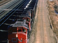 An empty coal train departs Edmonton for the coal fields around Hinton, Alberta.
Also in the yard is a loaded sulphur train with a caboose on the west end. That likely means that it arrived from the Kaybob via the Sangudo Sub. Union Junction, just beyond the head end of that string of cars, is where the Sangudo Sub joins the Edson Sub mainline. Due to the configuration of that junction, the train entered the Edson Sub and had to back into Bissell yard.
There is a soon-to-be eastbound grain train and a string of ballast cars in the yard, too.