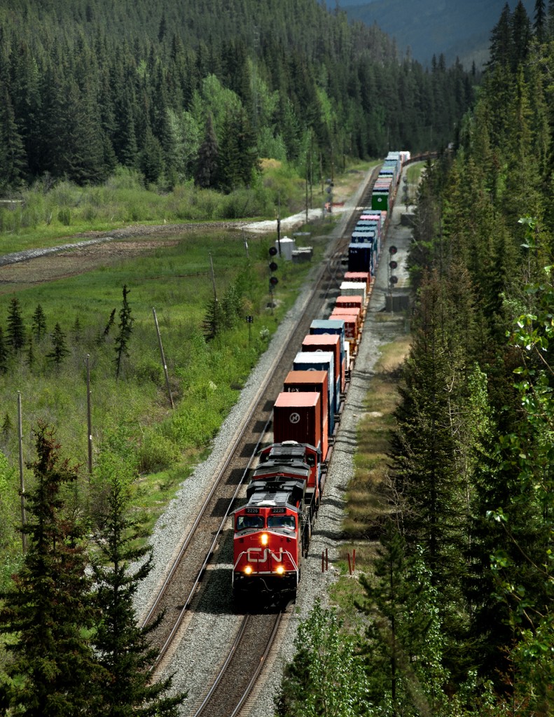 Intermodal train 107 just out of Jasper on the climb to Yellowhead Pass passes the double crossovers at Giekie