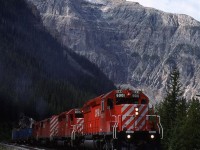 This eastbound train had just about anything that CP had in the yard behind the draw bar. There were containers (on flat cars), LPG tank cars and even crumby old gondolas to fill out the weight. The "Red Barns" were new to CP at the time, and that was one of the reasons why were were at Kicking Horse Pass. The other was that a railfan acquaintance was putting together a guide for the area from Lake Louise to Golden. I gave up on helping with that once I learned that he was only going to use the photos from this one trip. I really did not think that we covered the area well enough. He published it anyway.
 
