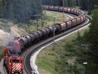 In order to show my railfan acquaintance how one can chase a train from the summit of Kicking Horse Pass all the way to Golden - the area covered by his planned guide, we decided to chase this train. The next several photos were all taken from roadside locations.
This mixed train had just about anything that was in the yard - chemicals, grain, box cars, TOFC and COFC. It is straddling the continental divide at this point.

