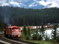 We finally caught a SD40-2F leading, and it looks like a high priority train. Not a box car, nor a grain hopper to be seen, although I do not recall what was on the rear of this train.
It is entering the yard from the west at Field.
Note the VW Microbus on the highway.