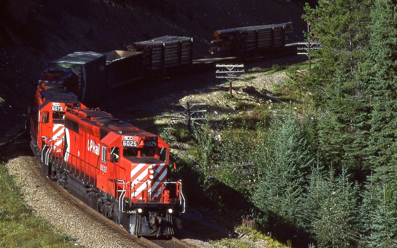 We finally had the sun come out on this trip to Kicking Horse Pass. Ottertail is a fairly reliable place to catch sunlight on the tracks, albeit not like in the wide open prairies.
This is an eastbound train.