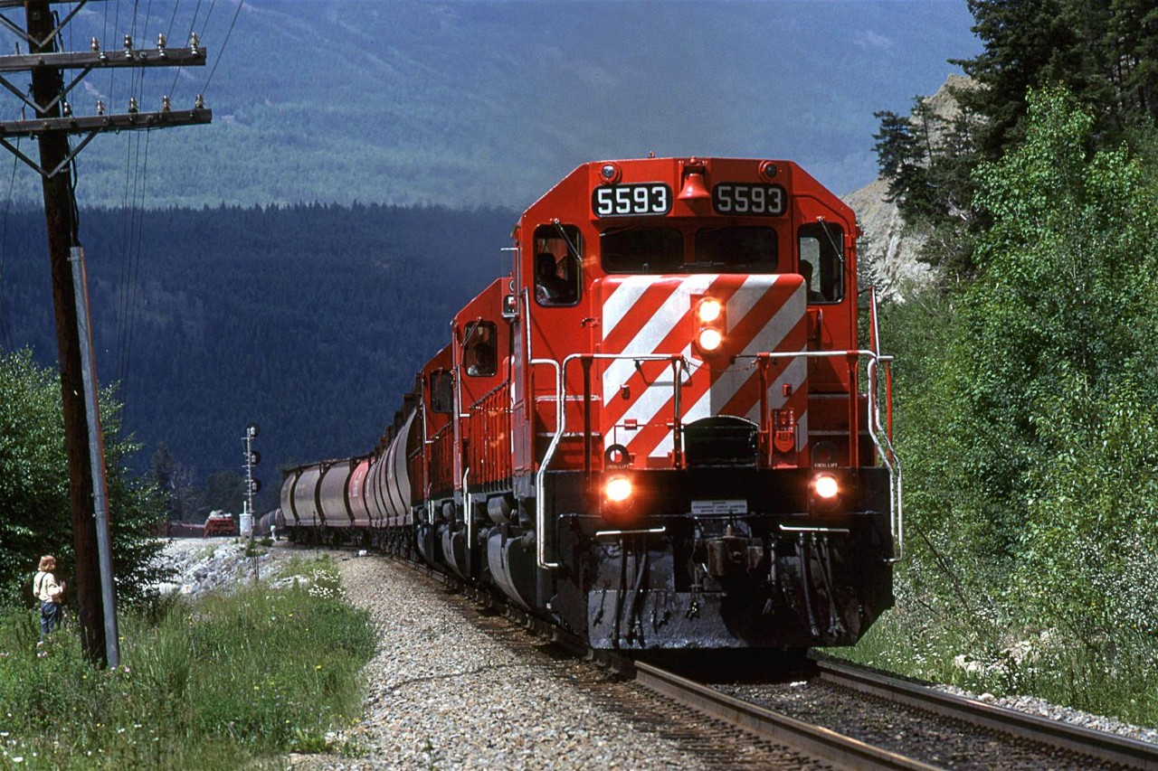 An empty grain train is headed into the Kicking Horse Canyon, just east of Golden. 
Having spent quite a bit of time exploring the route of the CPR west of Calgary, we decided to investigate the western end of this canyon. Unfortunately, it was a little tricky as the rails really just hugged the riverbank. We did not get too far before we deemed it to be too precarious.