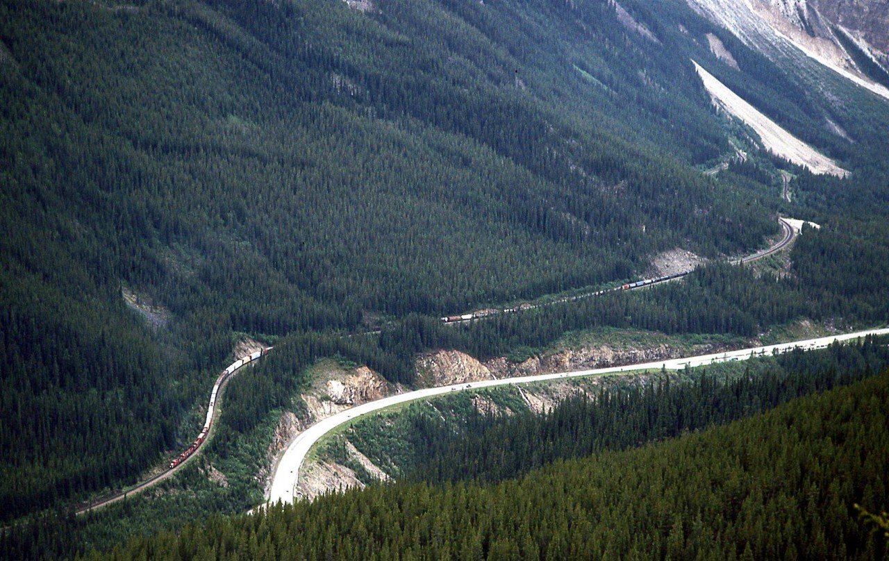 On a climb up Paget Peak, we were able to view the Kicking Horse Pass well below us. This is an eastbound at Partridge. The east switch of Yoho, on a section of track where the trains have to go west uphill, may be seen at right. In addition to this view, one could look down the entire pass to Field, and also view Wapta Lake.
I suspect that other people have similar photos, but they are not likely to be railfans.