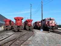 3 tracks on the south side of the shop with stored GE's and 1 track with a couple of really faded SD40-2's.