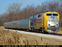 VIA "Canada 150" #904 leads train #72 through Puce, Ontario as it skirts along the plethora of cat tails that line the Chatham Subdivision.