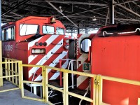 The last I saw of the 2 remaining Red Barns at Agincourt before they were hauled away. 9006 faces the 9001 with both their porthole doors open.