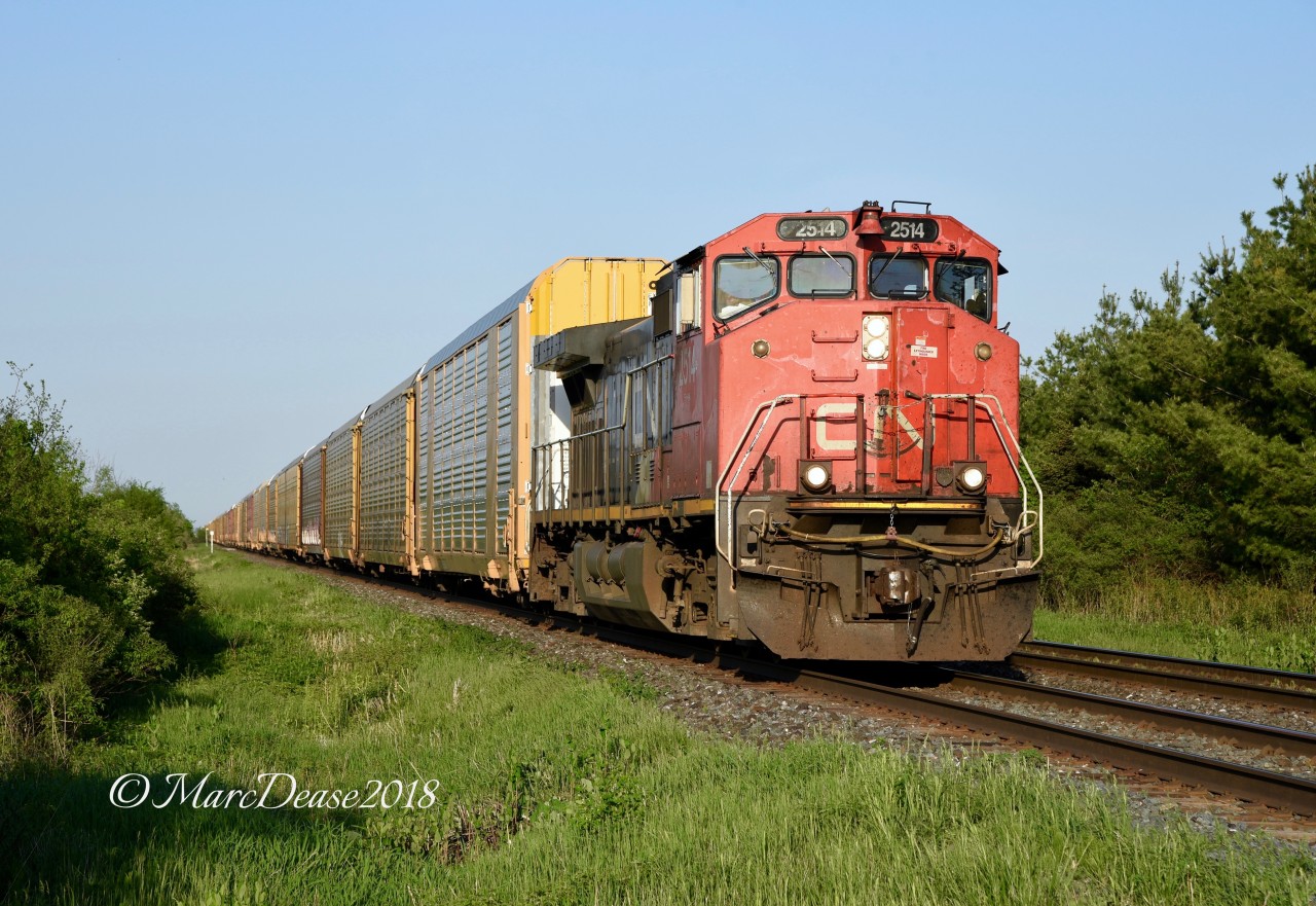 Train 271 led by a solo CN 2514 crosses Telfer Sideroad outside of Sarnia, ON., looking for a scan at Chester Street before heading to Port Huron, MI.