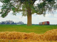 Two frames split by a tree. One side of the frame is the huge Hensall district Co-Op, this place is friggin' huge. On the other side is GEXR 581 departing North with 2 cars lifted from W.G. Thompson's of Hensall, located just south of the co-op. 581 made a light power move round trip from Stratford to Hensall - for this. There was no other work.