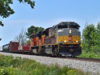 A "rare" offering of something current by me. Kinda liked this, so putting it out there to show I am still alive and kicking trackside. :o)  CP 7016 and BNSF 8446 as #246 southbound to Welland has just moved thru Grassie on a rather warm day........  No doubt lots of fans all over the place for this.