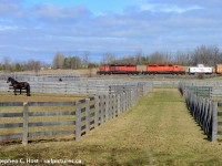 Horsepower passing horses as a rail train charges west toward Galt and the CPR Waterloo sub. The crew will drop their last strands before heading back to Toronto, a weeks worth of work finally completed. The SD's would be swapped out for a couple 4 axle units as the Waterloo sub is 6 axle restricted beyond yard limits.
