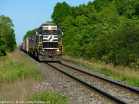 A late spring evening with purple wildflowers along the former CNR Cayuga subdivision, where the <a href=http://www.railpictures.ca/?attachment_id=15707 target=_blank> Wabash </a>, <a href=http://www.railpictures.ca/?attachment_id=12864 target=_blank>N&W</a>, and <a href=http://www.railpictures.ca/?attachment_id=29358 target=_blank>Norfolk Southern </a> had rights for over 109 years. This is the last of the Wabash in Canada, and as James Knott alluded, it is getting harder to see the daily Buffalo-Fort Erie transfer switching the west end of the yard to perform their daily setoff.
<br><br>
So the conversation over the Radio on this June evening was about where to put the train as the Fort Erie yard was quite full, and 530 was not en-route to meet them to grab the cars. the Canadian crew aboard the train mentioned to the RTC they are qualified to Niagara Falls and could bring the train to Port Rob, but it was declined. Too bad.