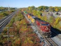 A very long CP 118 (738 axles) is through Beaconsfield with CP 8536 and UP 7016 up front and CP 8020 mid-train.