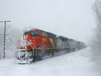 Thick snow is flying as CN X369 passes MP 22 of CN's Kingston Sub with a short train and CN 8923, BCOL 4649, CN 3808 & CN 8900 for power. A bit further west it will pick up more cars at Coteau.