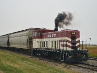 These little 70-tonners appear to be reliable locomotives for working AGT Food & Ingredients Inc facilities around Saskatchewan. Here we see M&ET 604 smoking it up a bit while working AGT Aylesbury alongside the main line mile 52 of what used to be CN Craik Sub. Now, it is part of the Lost Mountain Rwy. Probably the fact these old units belched smoke was the reason for the former (but still lettered for) Modesto & Empire Traction locos were dealt off. After all, being part of the California scene, M&ET has had to clean up their act.
What looks to be a miserable day was actually full sunshine, but the smoke from Oregon and Washington state forest fires engulfed the area.