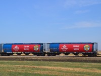 For those interested in rail cars.......

I came across these two rather attractive hoppers at the Purely Canadian grain facility in Lajord, SK; just a small community SE of Regina along the Stewart Southern Railway line. (This was the former CP Tyvan Sub) This rather modern and expanding facility has capacity for 250 hoppers at its location. They deal in grains, organic grain, oil seeds, beans among other things; and in Oct 2020, after this image was taken, they merged with "Above Foods", a plant protein food business.
Nice that they would 'do up' a couple of former 'Visit Alberta' grain hoppers. I only noticed these two, and wonder if there are more, or plans for more. They certainly are striking.

Purely Canadian also has another facility which is located at Battle River, Alberta.