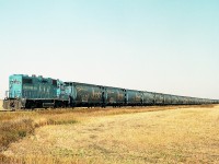 Sure not much to see along the Stewart Southern line S/E of Regina. Just fields. And an equally nondescript train rolling along. Not sure of the speed limit, but it appeared 15MPH. GMTX 2213, lettered for the Stewart Southern, has a short train, a grouping of "Alberta" grain hoppers and a few tanks on the end.