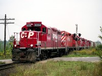 So I am wandering around in search of something to photograph on a decent warm day, and I hear while driving Campbellville Rd something has just cleared the(Guelph) Jct westbound.  I tore up Mountsberg Rd to the tracks 'just in case' it might be something other than a pair of GEs. Just barely got there ahead of it, and was surprised to see a string of GP9u locos up front.  CP 8250, 8234, 8211, 8207 and 8215. This thing was really moving! Here it is, some 16 years later; the onslaught of the behemoth GEs on CP has left these little GPs as just a memory.