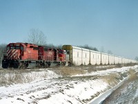 I had wondered about these large Auto-Max cars and apparently they are achieving some success on the BNSF and some other roads in the states.  But I have seen very few of them along the Hamilton Sub in the past few years.
CP 5935, 5631 and a GP60M #101 of the BNSF are powering this train. The #101 is a former ATSF unit, and come to think of it, I don't recall seeing one of these along the line before or since, either. This image is in Welland Yard, as shot from the parallel Lambert Rd.