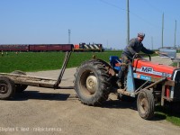 Riding his 1976 Massey-Ferguson 230, Harvey H. Martin of Woolwich Township reaches to his mailbox to drop his semaphore as he's picking up the mail on his way home for lunch. Preparing his fields for corn, it's been a long morning and a warm meal awaits in the homestead. In the background, staff of the Waterloo Central Railway take photos of their acquisition dropped off hours earlier, with a short passenger train powered by CN 1437. The Martin family, as well as many other Martin families in the area sell maple syrup year round and mmm mmm it's delicious. Bring cash and don't try on a Sunday as they are always closed for business.