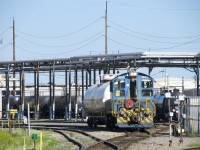 An ex-Port of Montreal SW1001 is switching tank cars inside the Axiall plant in the morning.