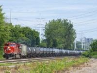 CP 650 is passing the partly removed and quite overgrown Lasalle Yard with a fresh leader.