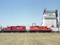 I had previously referred to this location as "Louisville". Well, they are both hamlets and separated by a railroad, a highway, and cornfield.
This image is in conjunction with Todd Steinman's delightful shot of the old FGDI grain mill (#46324) and this shows my view of it across the field. Luckily, the land had just been cleared.
I was rather distraught to hear of the demise of this structure. It made for a great prop, and the likes of these are disappearing all over the country.
On this day, CP 8231 and STLH 8206 are returning eastbound to London from Chatham. On the wayfreight's westbound run to Chatham, I shot from up in the building structure over the hopper car at right. With permission, of course.