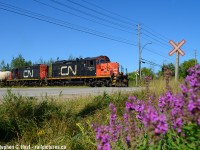 L542 working Traxxside in Guelph with some summer wildflowers blooming. A pair of these are by far and large my favourite to find on CN (or i'll even take  <a href=http://www.railpictures.ca/?attachment_id=46088 target=_blank>Three of 'em</a>.)