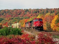 For me, the fall season kicks off at the beginning of September. Psychological, I guess, but what the heck, after Labour Day, summer is 'over'.
So, here is a fall shot.  Taken mid-way thru October; brilliant colours that make the days worthwhile no matter what happens by.  CN #148 behind CN 2578 and 2419 captured drifting down the long Copetown Hill toward mile 2, Dundas Sub.
Overgrown here now. Badly.