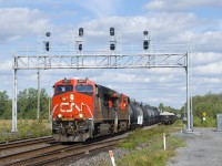 CN 585 has CN 3217, CN 3864 and 58 cars as it passes a signal bridge located where the CN Kingston Sub goes from four to two tracks. At right cars are stored on Track 4.