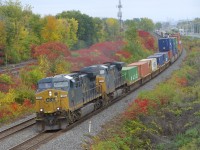 A pair of repainted CSXT AC4400CW's (CSXT 495 & CSXT 92) lead a long CN 327 (122 cars) around a curve in Beaconsfield, with fall colours nearly at their peak