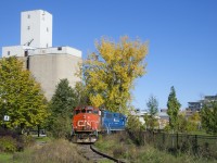 The Pointe St-Charles Switcher is shoving loaded grain cars into Ardent Mills.